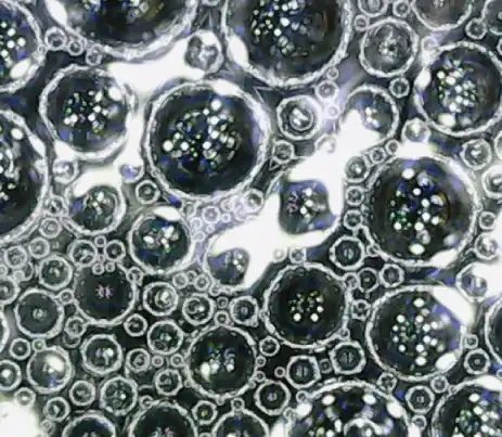 Microscope image of GoNano S1 nanoparticles forming inside asphalt